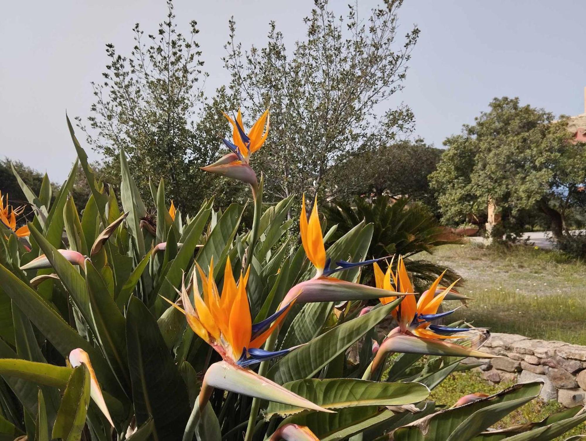 Holiday Home Riccio Di Mare Sardinia Marongiu Kültér fotó